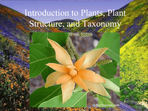 Introduction to Plants, Plant Structure, and Taxonomy