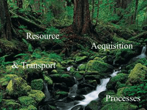 Resource Acquisition &amp; Transport Processes