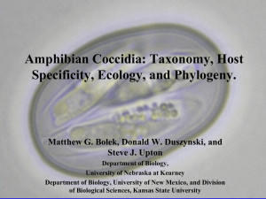Amphibian Coccidia: Taxonomy, Host Specificity, Ecology, and Phylogeny. Steve J. Upton