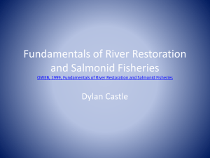 Fundamentals of River Restoration and Salmonid Fisheries Dylan Castle
