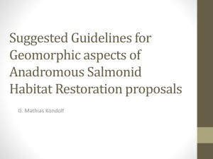Suggested Guidelines for Geomorphic aspects of Anadromous Salmonid Habitat Restoration proposals