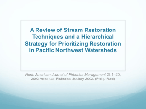 A Review of Stream Restoration Techniques and a Hierarchical