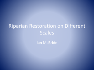 Riparian Restoration on Different Scales Ian McBride