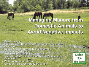 Managing Manure from Domestic Animals to Avoid Negative Impacts