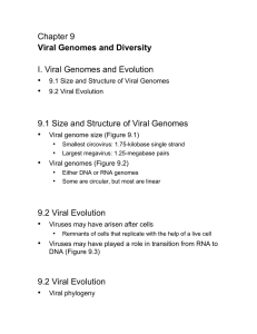 Chapter 9  I. Viral Genomes and Evolution •