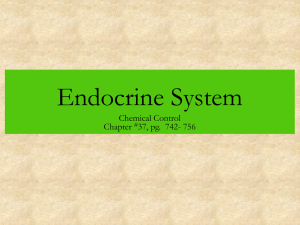 Endocrine System Chemical Control Chapter 37, pg.  742- 756