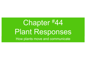 Chapter 44 Plant Responses #