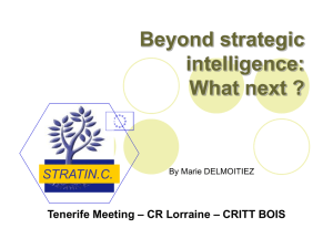 Beyond strategic intelligence: What next ? STRATIN.C.