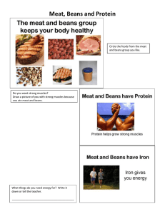 Meat, Beans and Protein