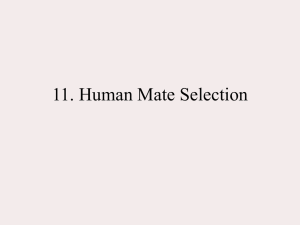 11. Human Mate Selection