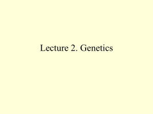 Lecture 2. Genetics