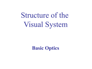 Structure of the Visual System Basic Optics