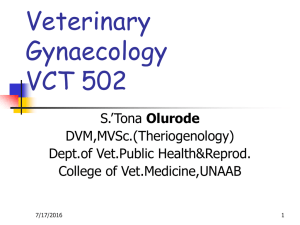 Veterinary Gynaecology VCT 502 Olurode