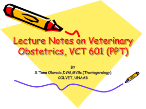 Lecture Notes on Veterinary Obstetrics, VCT 601 (PPT) BY DVM,MVSc