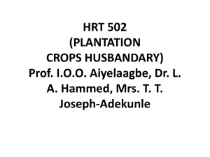 HRT 502 (PLANTATION CROPS HUSBANDARY) Prof. I.O.O. Aiyelaagbe, Dr. L.