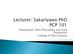 Department: Plant Physiology and Crop Production College of Plant Science