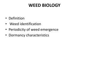 WEED BIOLOGY • Definition • Weed identification • Periodicity of weed emergence