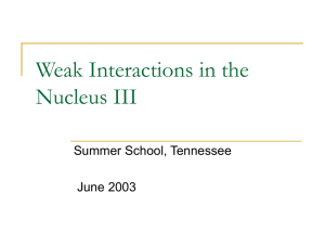 Weak Interactions in the Nucleus III Summer School, Tennessee June 2003