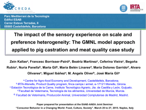 The impact of the sensory experience on scale and