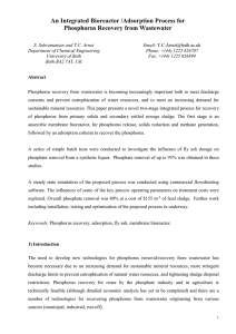 An Integrated Bioreactor /Adsorption Process for Phosphorus Recovery from Wastewater