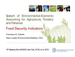 Food Security Indicators System of Environmental-Economic Accounting for Agriculture, Forestry and Fisheries
