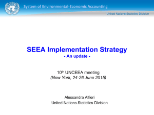 SEEA Implementation Strategy System of Environmental-Economic Accounting - An update - 10