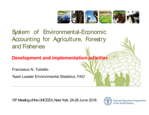 System of Environmental-Economic Accounting for Agriculture, Forestry and Fisheries Development and implementation activities
