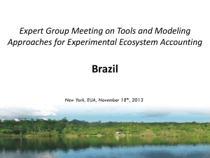 Brazil Expert Group Meeting on Tools and Modeling