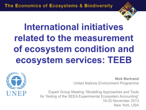 International initiatives related to the measurement of ecosystem condition and ecosystem services: TEEB