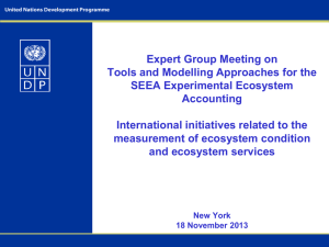 Expert Group Meeting on Tools and Modelling Approaches for the Accounting