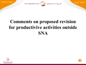 Comments on proposed revision for productivive activities outside SNA 1
