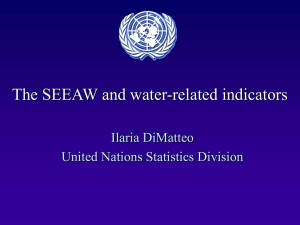 The SEEAW and water-related indicators Ilaria DiMatteo United Nations Statistics Division