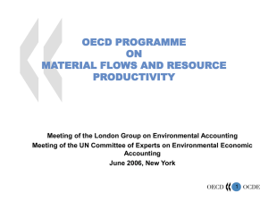 OECD PROGRAMME ON MATERIAL FLOWS AND RESOURCE PRODUCTIVITY