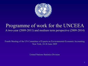 Programme of work for the UNCEEA