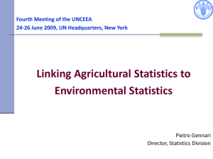 Linking Agricultural Statistics to Environmental Statistics Fourth Meeting of the UNCEEA