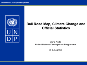 Bali Road Map, Climate Change and Official Statistics Maria Netto