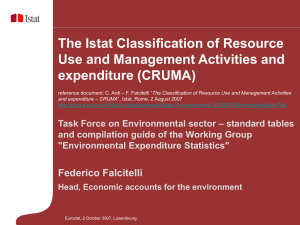 The Istat Classification of Resource Use and Management Activities and expenditure (CRUMA)