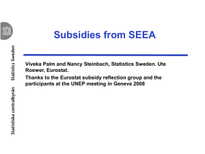 Subsidies from SEEA