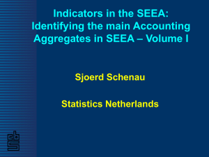 Indicators in the SEEA: Identifying the main Accounting – Volume I