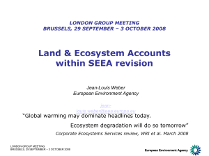 Land &amp; Ecosystem Accounts within SEEA revision