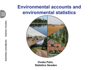 Environmental accounts and environmental statistics Viveka Palm, Statistics Sweden