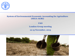 System of Environmental-Economic Accounting for Agriculture (SEEA-AGRI) FAO London Group meeting