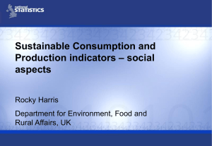 Sustainable Consumption and – social Production indicators aspects