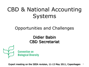 CBD &amp; National Accounting Systems Opportunities and Challenges Didier Babin