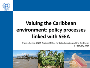 Valuing the Caribbean environment: policy processes linked with SEEA