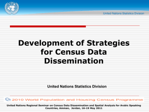 Development of Strategies for Census Data Dissemination United Nations Statistics Division