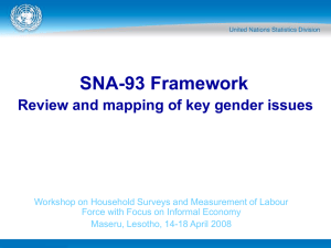 SNA-93 Framework Review and mapping of key gender issues
