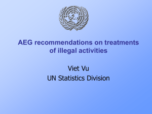 AEG recommendations on treatments of illegal activities Viet Vu UN Statistics Division