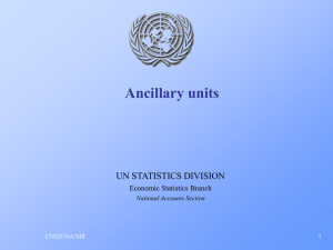 Ancillary units UN STATISTICS DIVISION Economic Statistics Branch UNSD/NA/MR