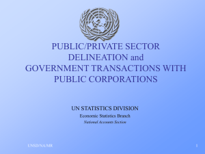 PUBLIC/PRIVATE SECTOR DELINEATION and GOVERNMENT TRANSACTIONS WITH PUBLIC CORPORATIONS